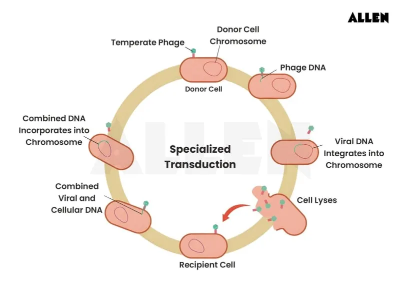 Transduction